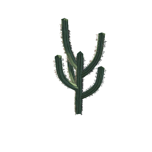 Cactus_1_15