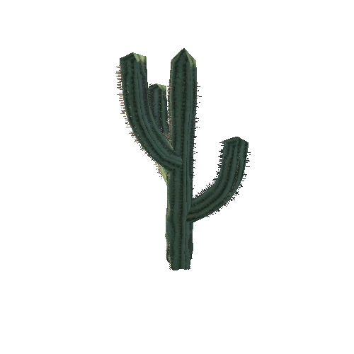 Cactus_1_2