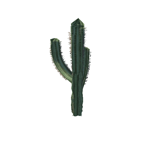 Cactus_1_4