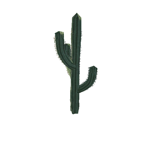 Cactus_1_6