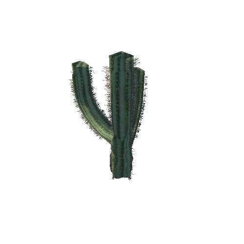 Cactus_1_7