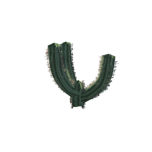 Cactus_1_8