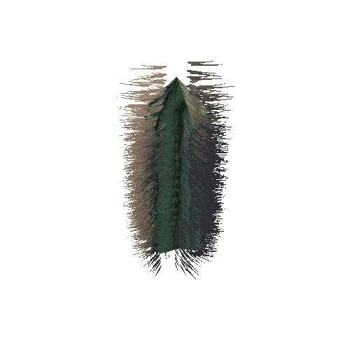 Cactus_2_1