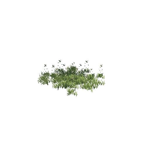 Grass_2