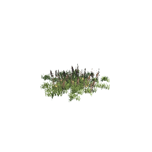 Grass_3