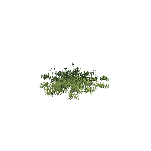 Grass_4