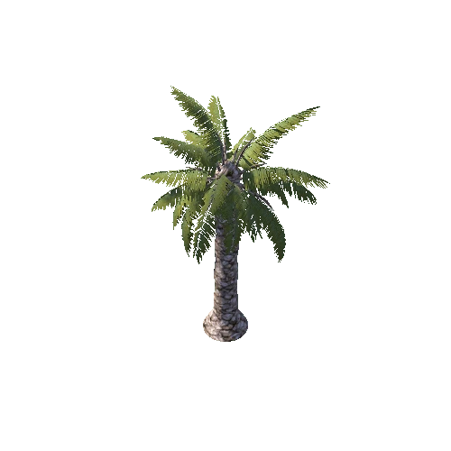 M_Palm_2_2