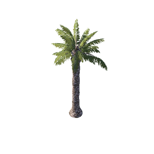 M_Palm_2_5