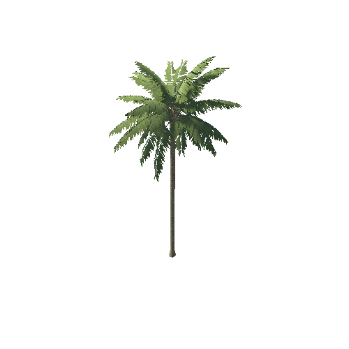 Palm_1_10