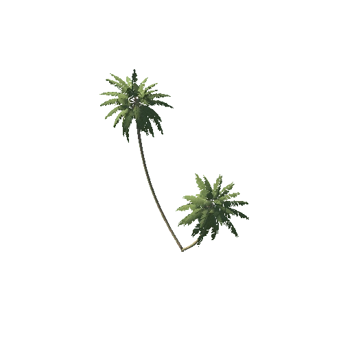 Palm_1_7