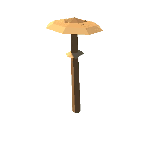 mushroom-parasol-mature-a