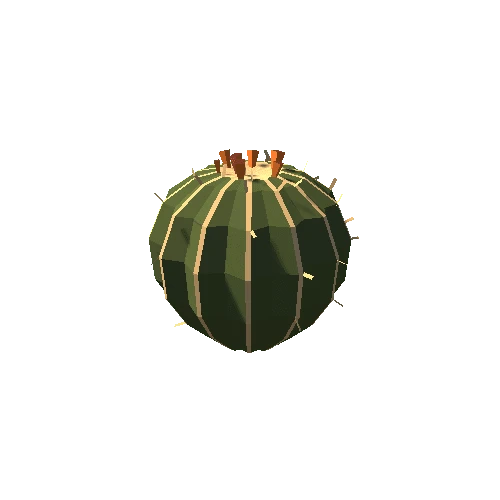 succulent-cactus-round-flowering-a