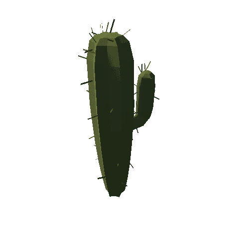 succulent-cactus-tall-sapling-a