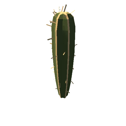 succulent-cactus-tall-sapling-b