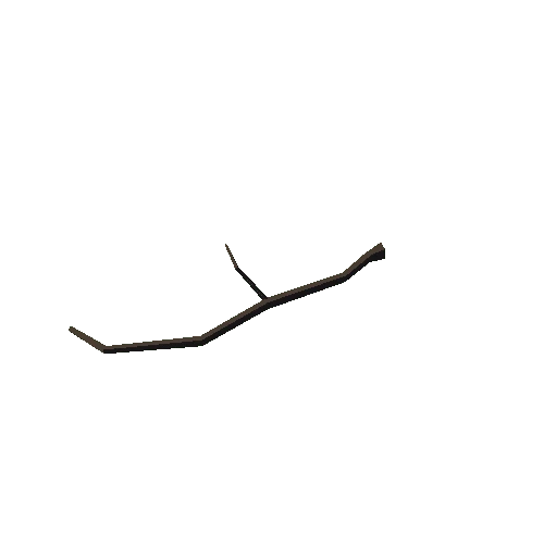 tree-birch-branch-b