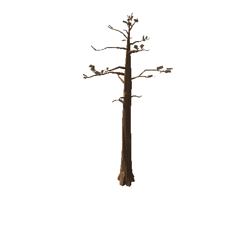 tree-sequoia-dead-a