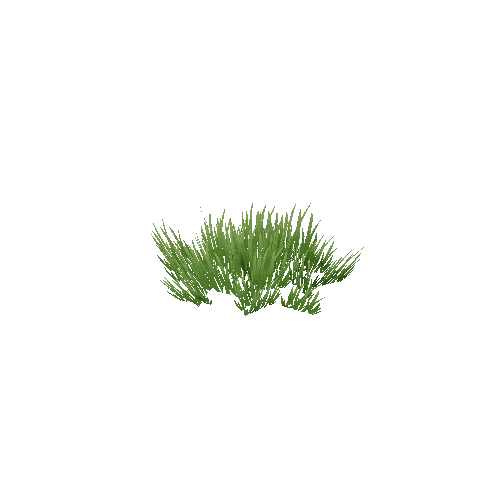 TFF_Grass_Patch_01A