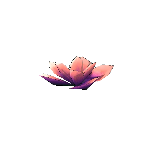 TFF_Lotus_Flower_02B