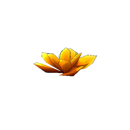 TFF_Lotus_Flower_02C