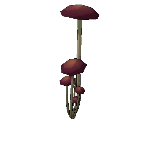 TFF_Mushrooms_03A