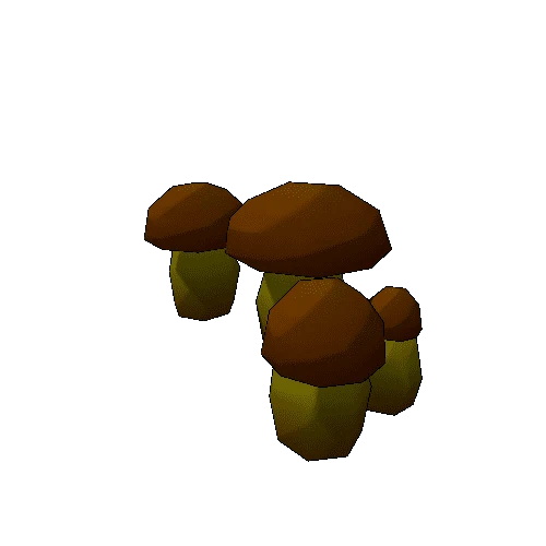 TFF_Mushrooms_10A