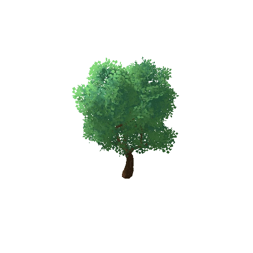 TFF_Oak_Tree_01A