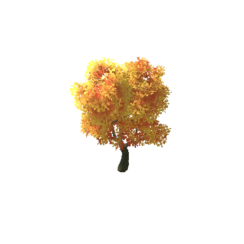 TFF_Oak_Tree_01B