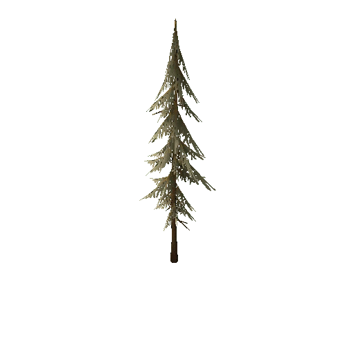 TFF_Pine_Tree_01C