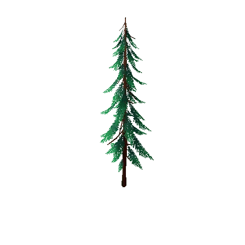 TFF_Pine_Tree_02A