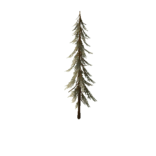 TFF_Pine_Tree_02C