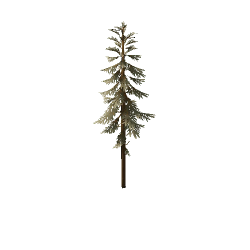 TFF_Pine_Tree_03C