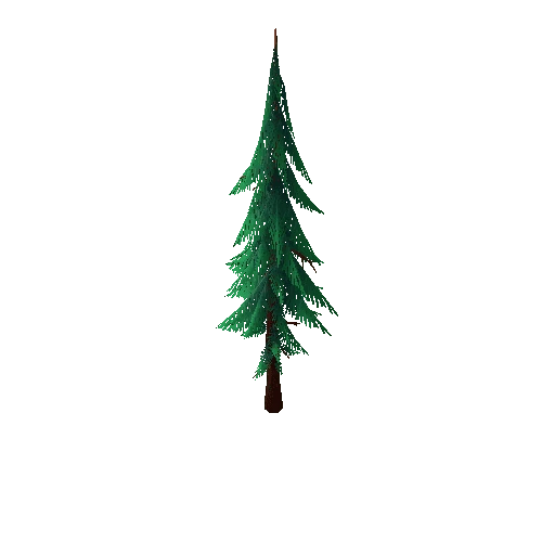 TFF_Pine_Tree_04A