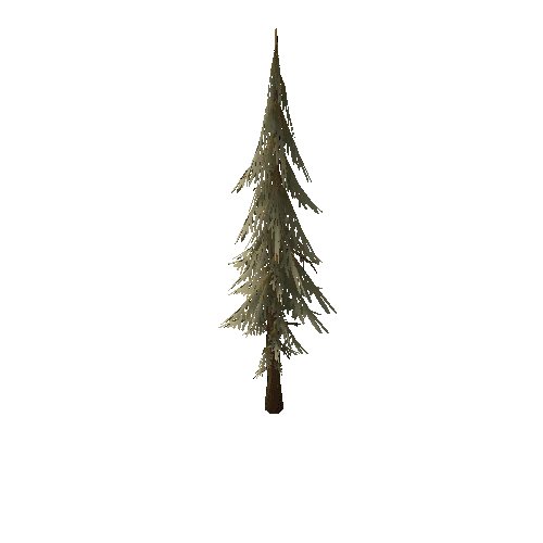 TFF_Pine_Tree_04C