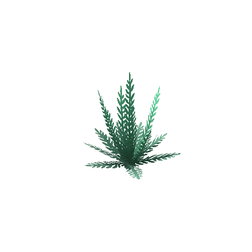 TFF_Plant_01A