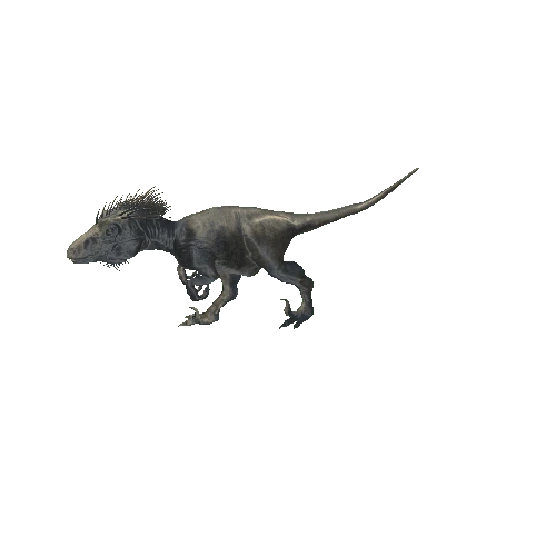 018_UtahRaptor_Forward_RIGHT90_Walking_Anim