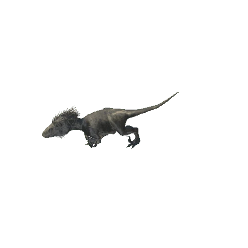 036_UtahRaptor_ForwardRIGHT90_Ambush_Walking_Anim