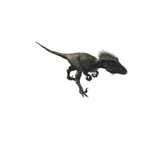 050_UtahRaptor_ForwardLEFT_LEgBroken_Walking_Anim