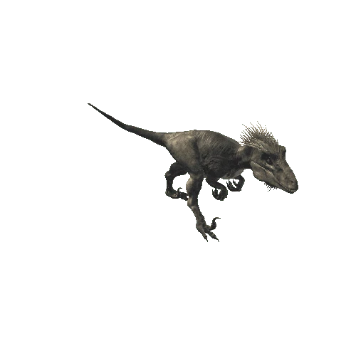 051_UtahRaptor_ForwardLEFT_HEAD_LEgBroken_Walking_Anim