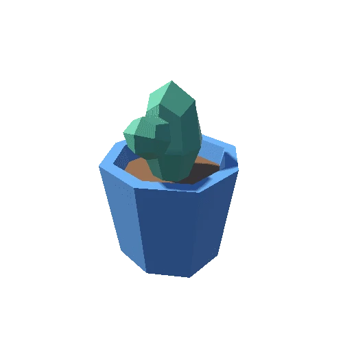 Cactus_1