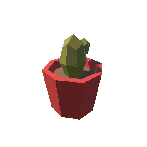 Cactus_2