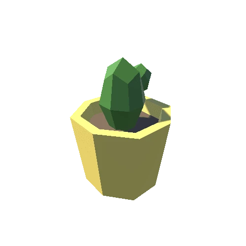 Cactus_3