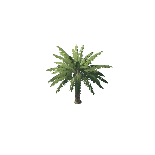 Palm_2_7