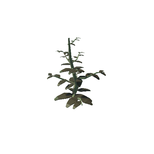 Variant_Rotting_Tomato_Stalk