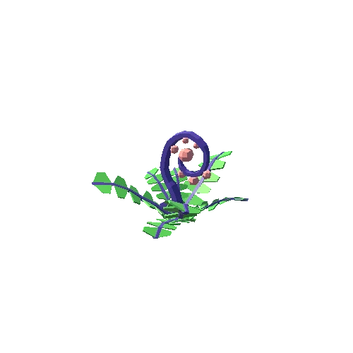 Variant_Toxic_Fern