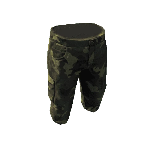 npc_csl_breeches_01_01_01camo