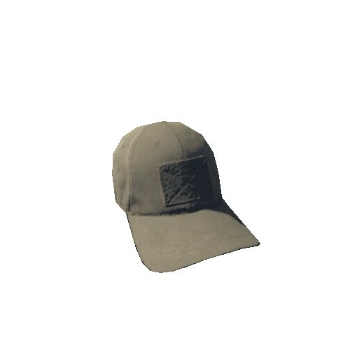 npc_csl_cap_01_01_01