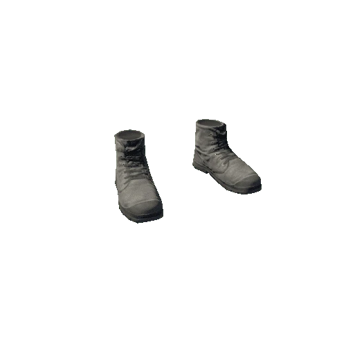 npc_csl_shoe_02_02_01bw