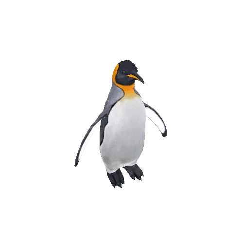 Penguin