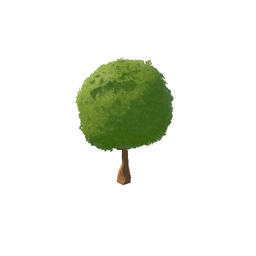 TP_SM_Tree_4