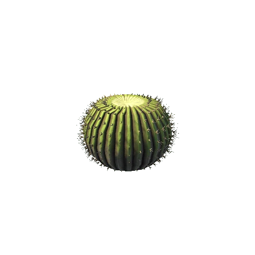 Cactus02